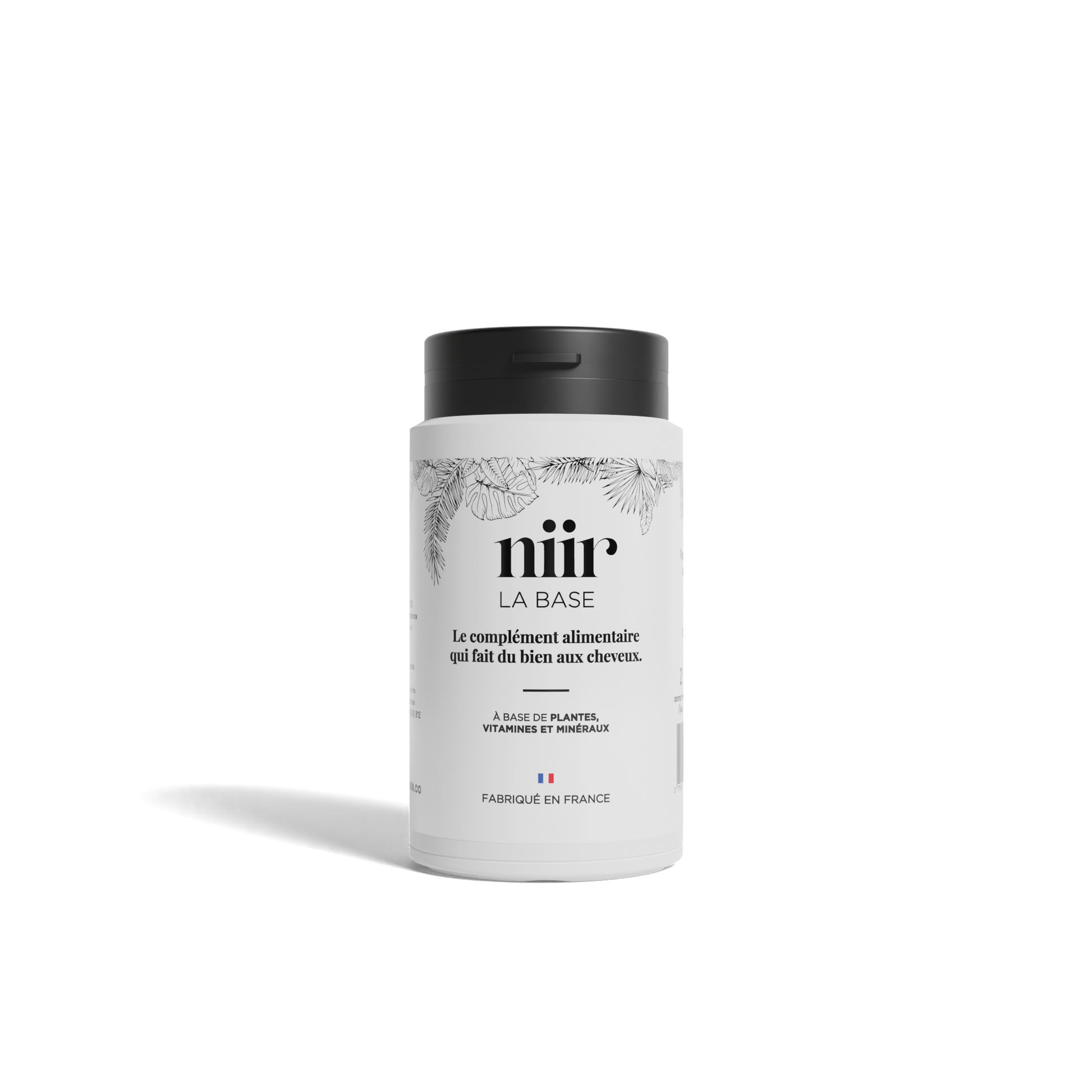 Complément alimentaire cheveux naturels – La Base NIIR