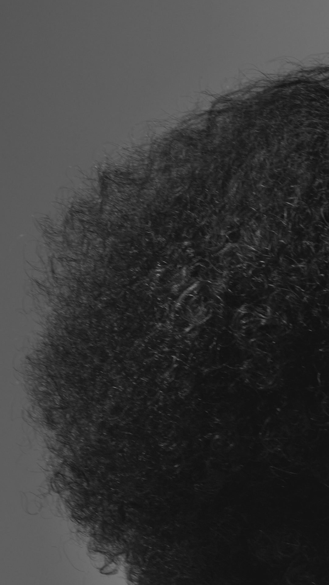 Charger la vidéo :